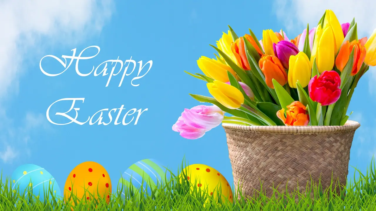 Two mint chocolate milkshakes with whipped cream and green sprinkles.