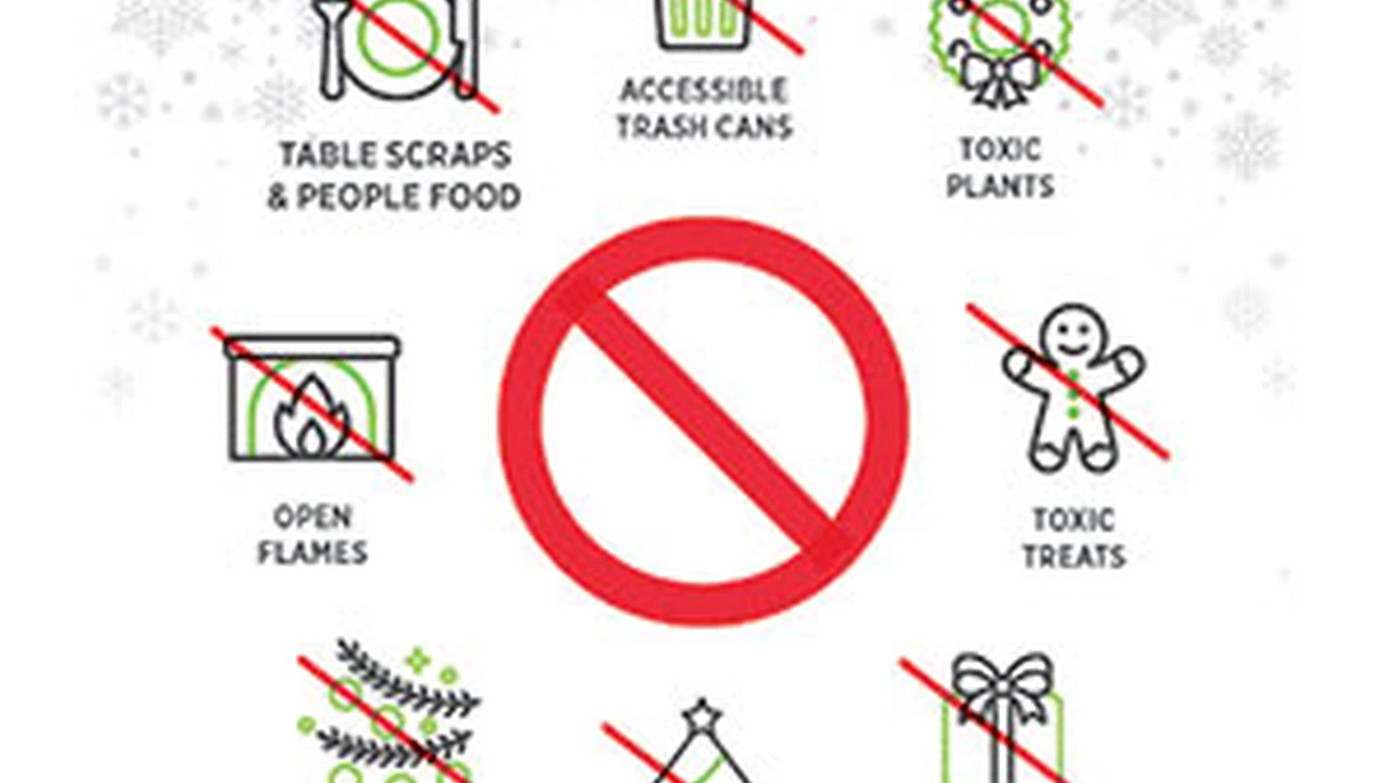 Close up on a plate of mashed potatoes, topped with baked pork chops with cream of mushroom soup, and a side of green beans.